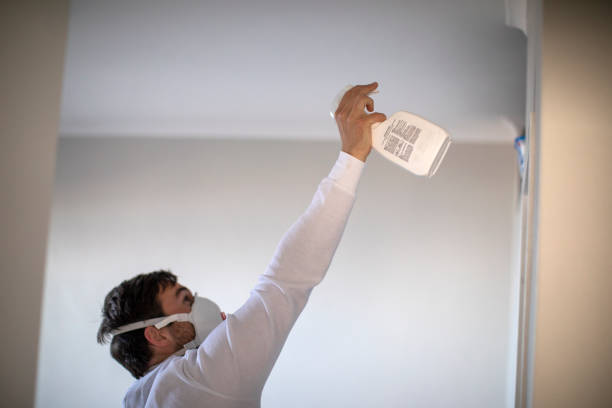  Daly City, CA Mold Removal Pros