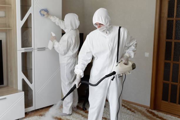 Best Mold Remediation Services  in Daly City, CA