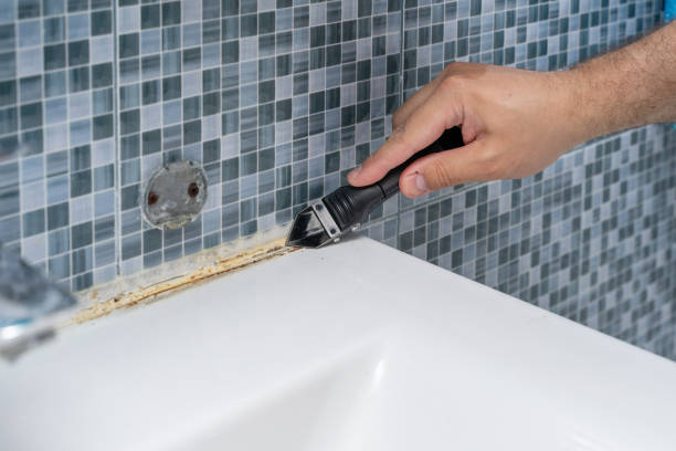 Best Certified Mold Removal  in Daly City, CA